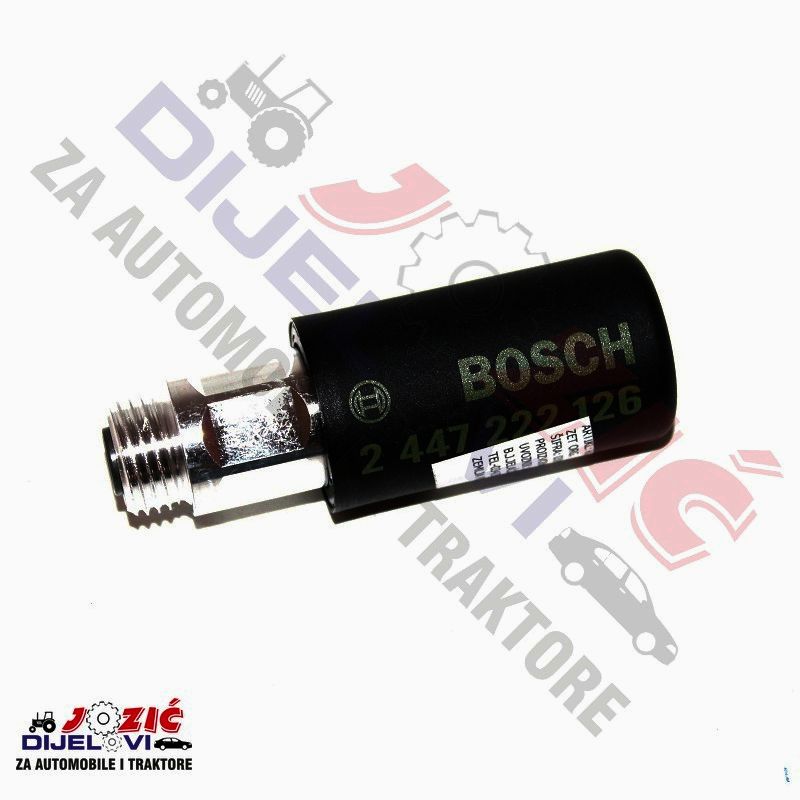 Daisy on the Ohoopee